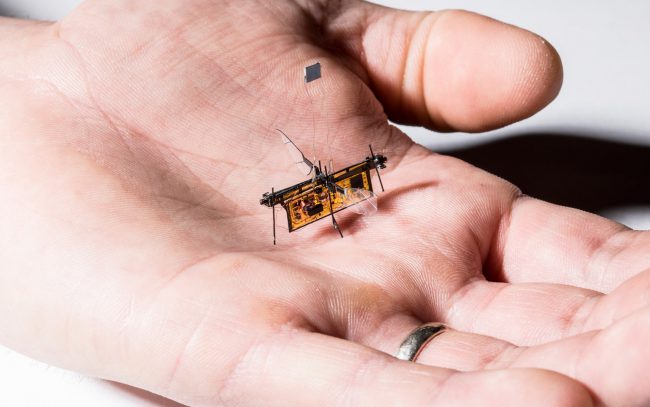 Фото - Робот-муха, которая получает энергию без проводов