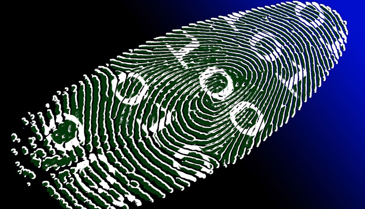 Фото - «Персона»: новая российская система биометрической идентификации»
